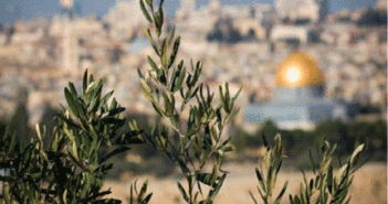 This Sunday on WBIN: Global Commerce with a Local Touch